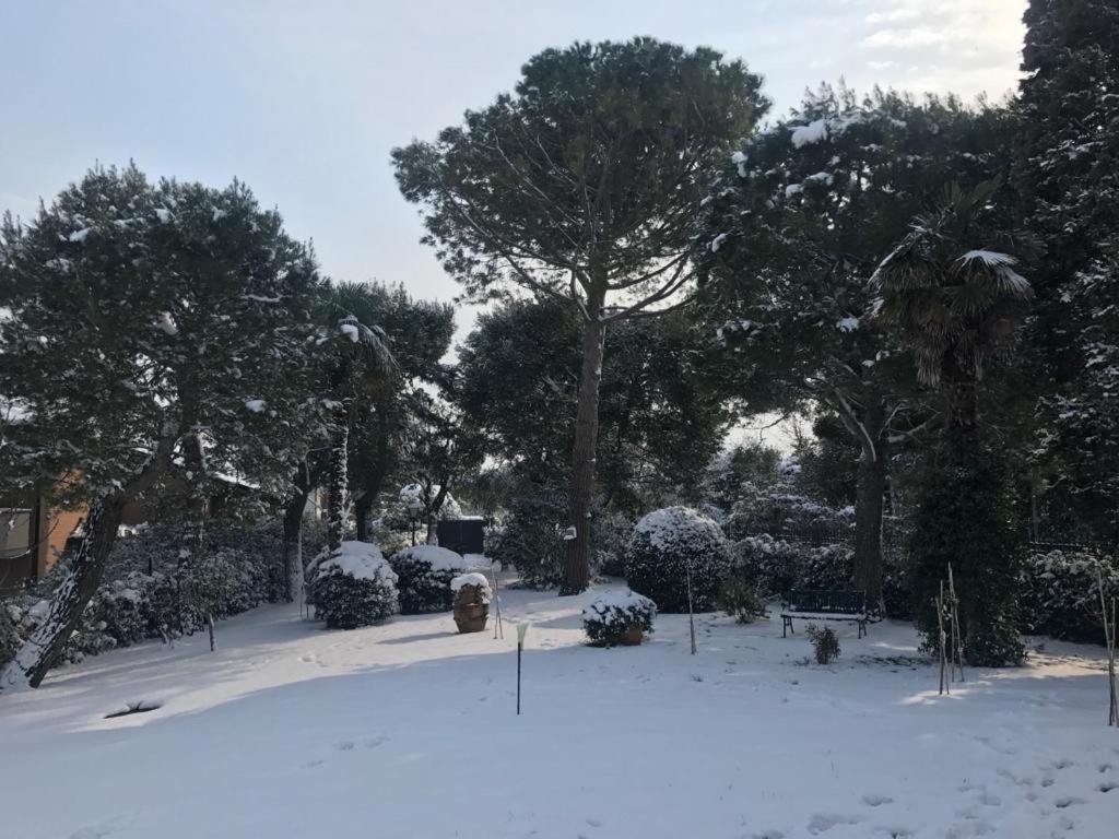 Ilpoggetto Bed&Breakfast Civitanova Marche Dış mekan fotoğraf